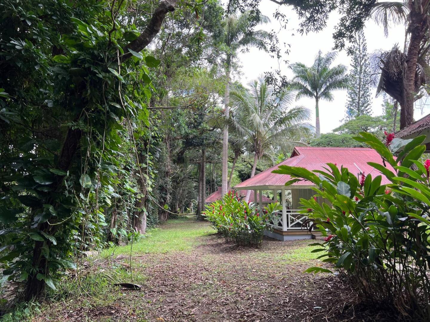 Evasion Bungalow Tropical Spa Sarraméa Esterno foto